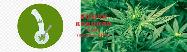 гашишное масло Дмитриев