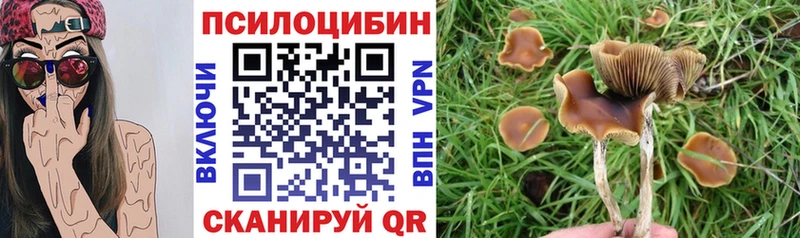 купить   Янаул  Псилоцибиновые грибы GOLDEN TEACHER 