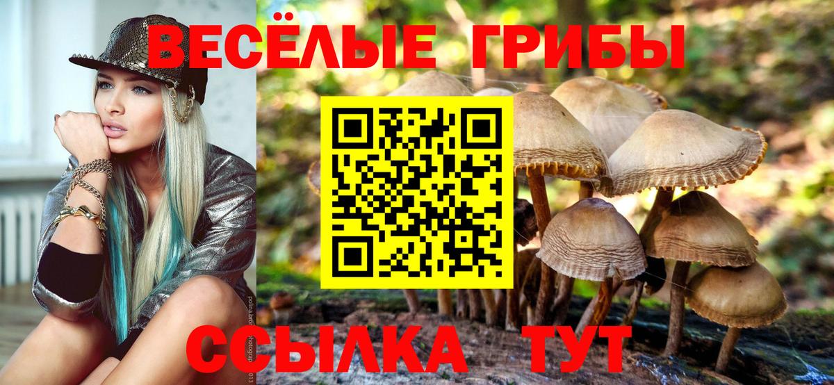 Галлюциногенные грибы мицелий Янаул